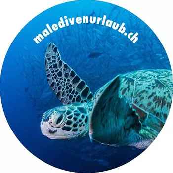 Gerne senden wir Ihnen unsere Insel - Vorschläge mit den aktuellen Tagespreisen für Ihren nächsten Maledivenurlaub zu! Gerne senden wir Ihnen unsere Insel - Vorschläge mit den aktuellen Tagespreisen für Ihren nächsten Maledivenurlaub zu!
